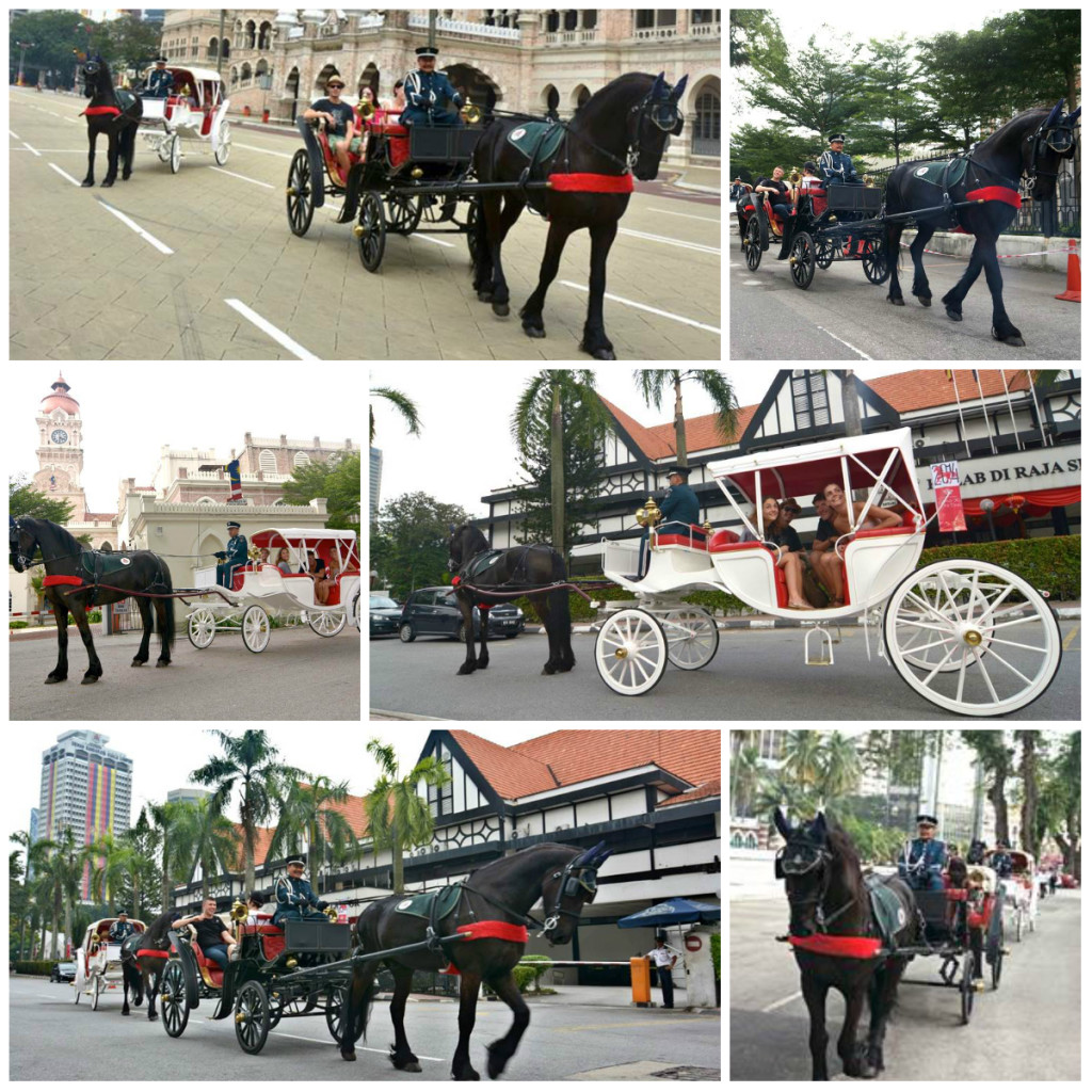 KL Horse & Carriage Ride Foto Galeri