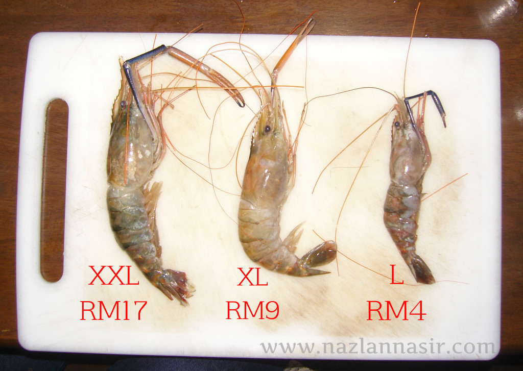 Saiz Udang Galah