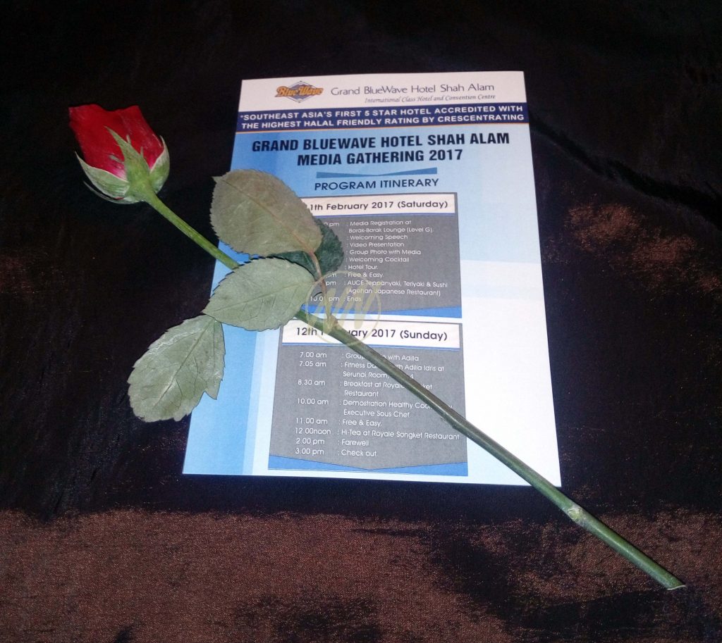 04 Itinerary with a Rose