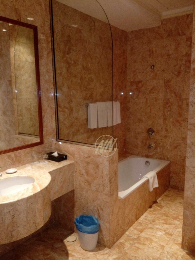 30 Executive Suite L19 (Toilet1)