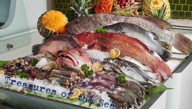 Aloft KLS Treasures of the Sea