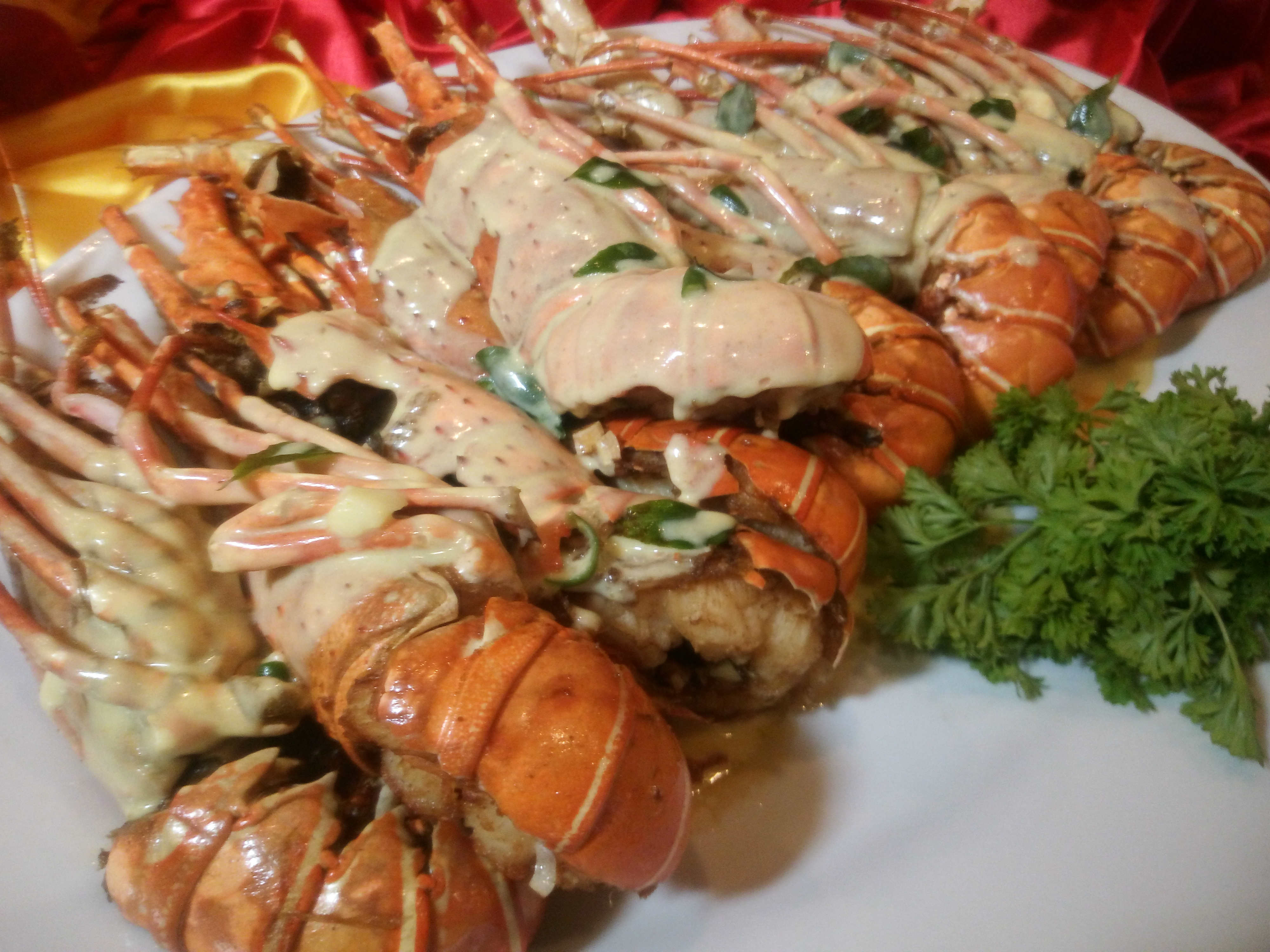 Baby Lobster yang segar