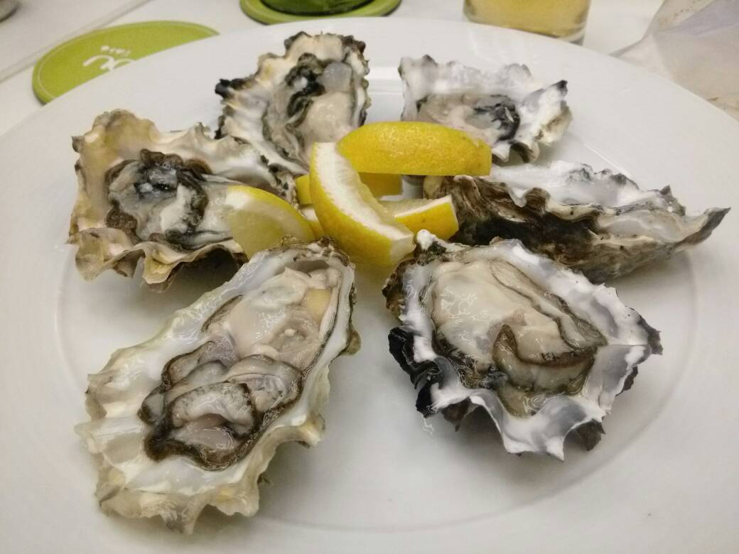 Oyster