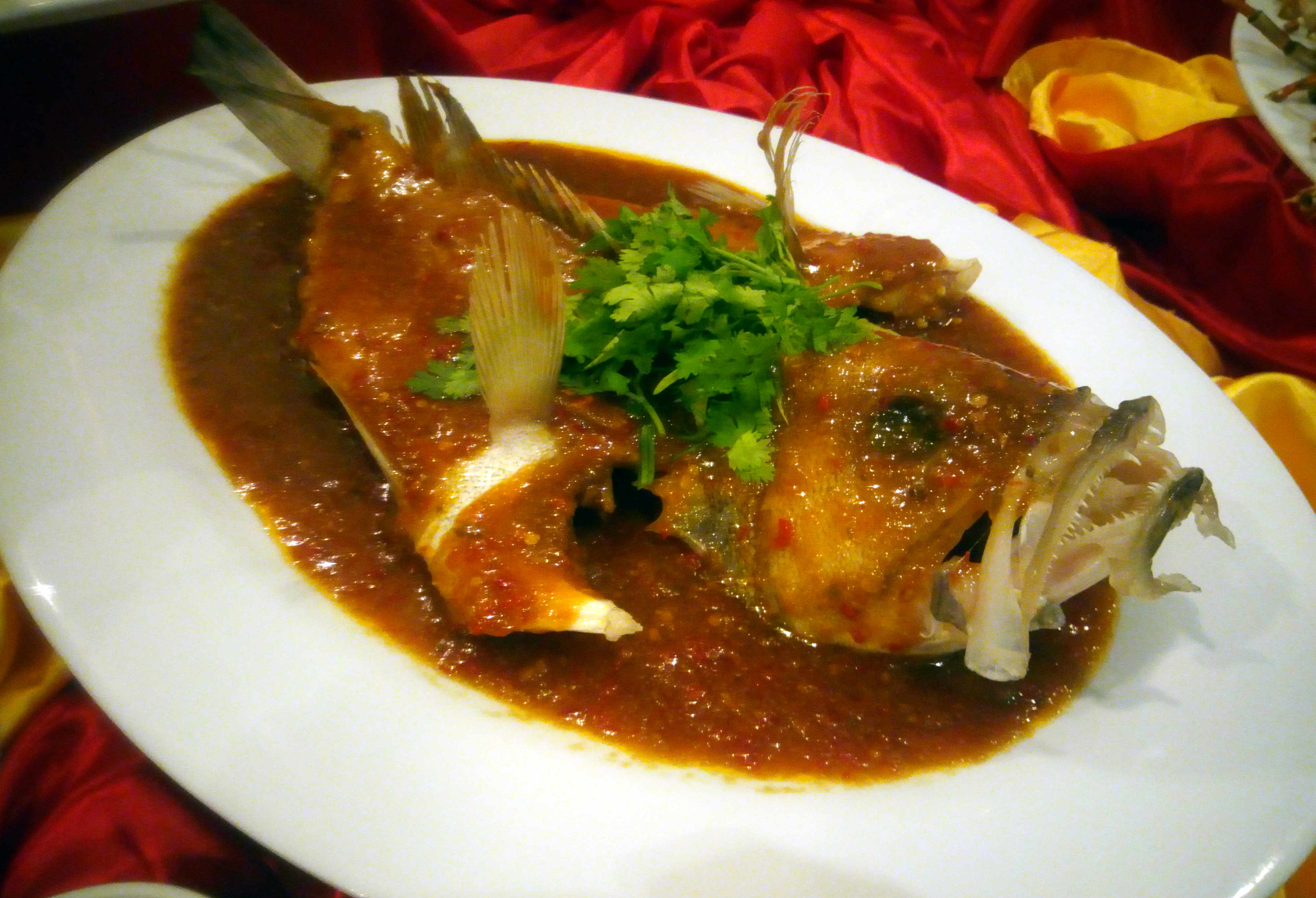 Steam Garoupa Fish with Spicy Bean Paste