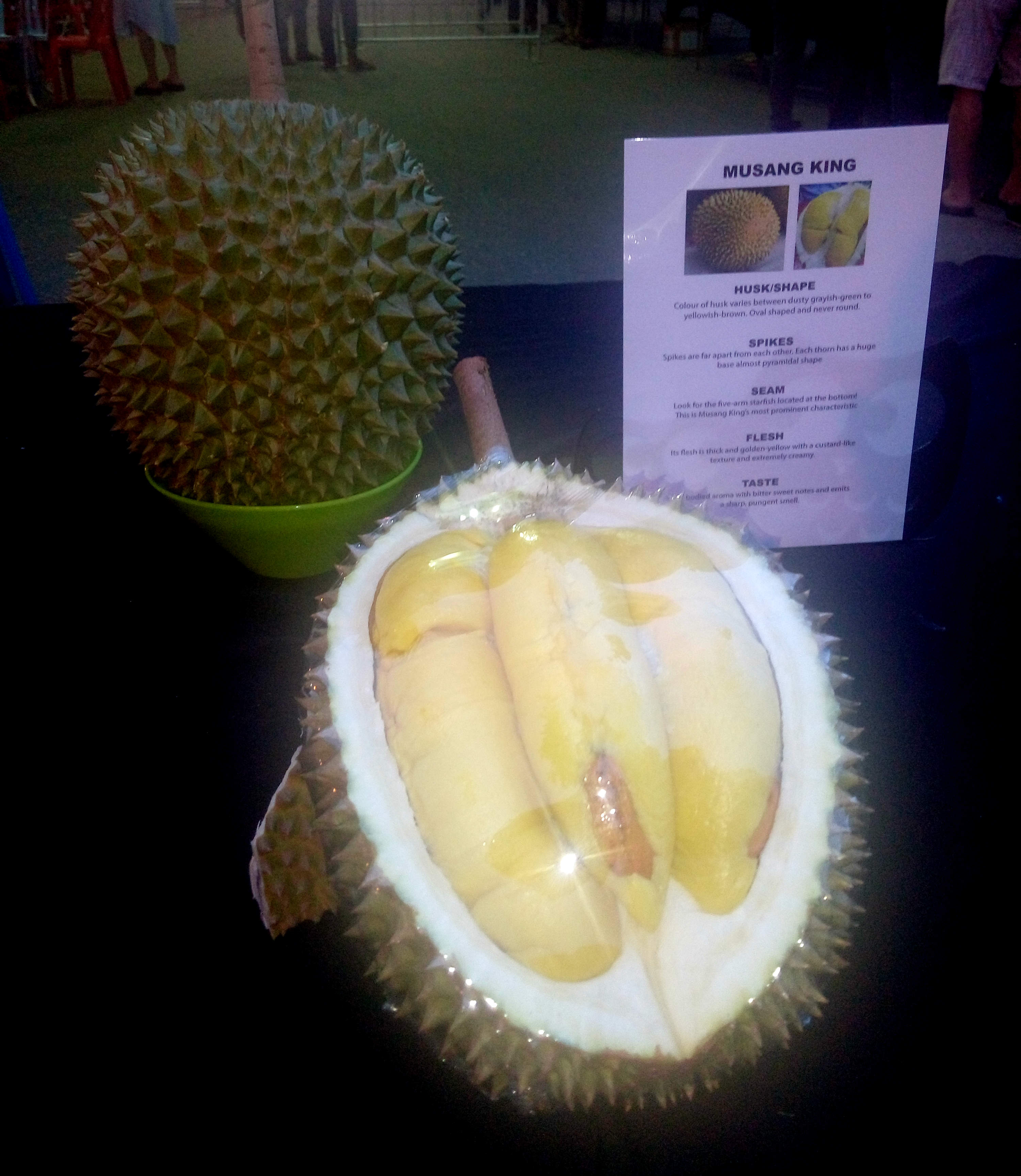 Durian Musang King