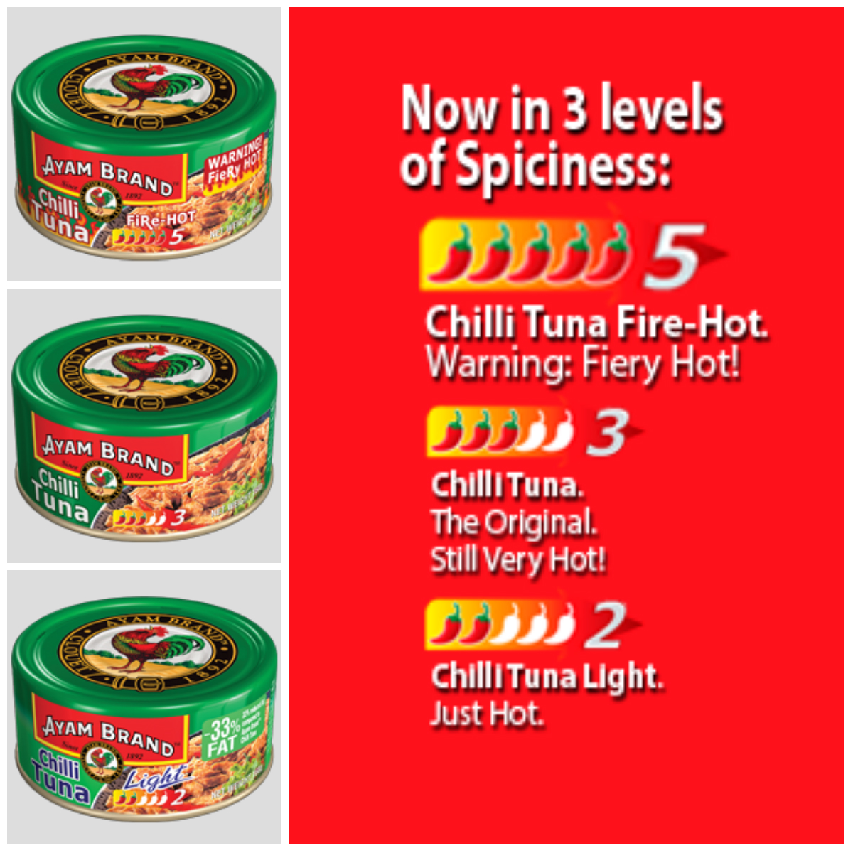 Rangkaian Cili Tuna Ayam Brand