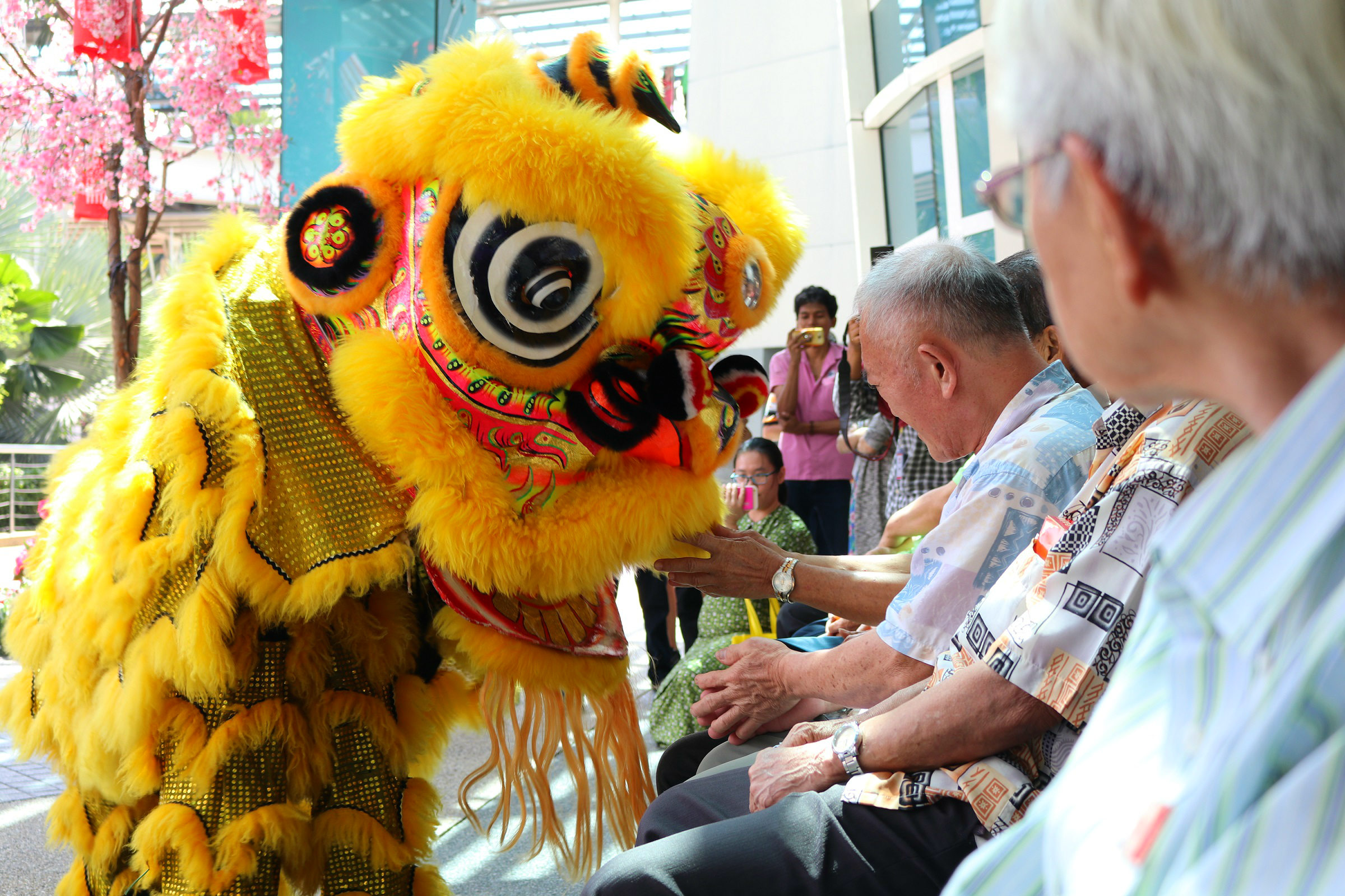 Lebih dekat lagi dengan Singa