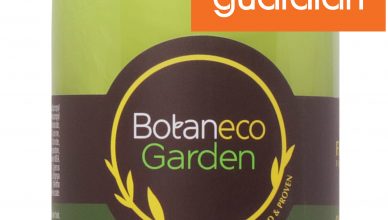 BG_trio_oil_shampoox