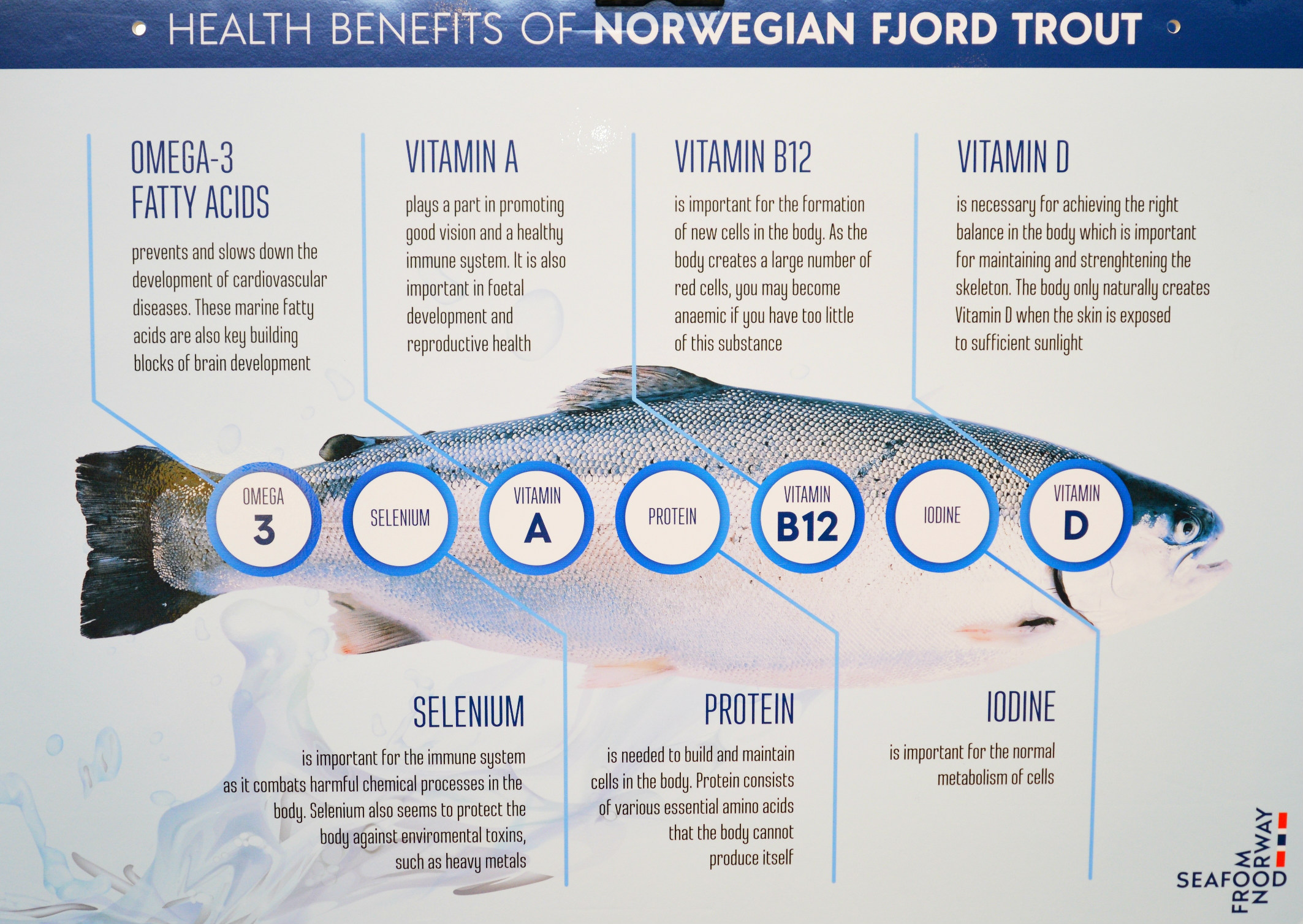 Health Benefits of Norwegian Fjord Trout