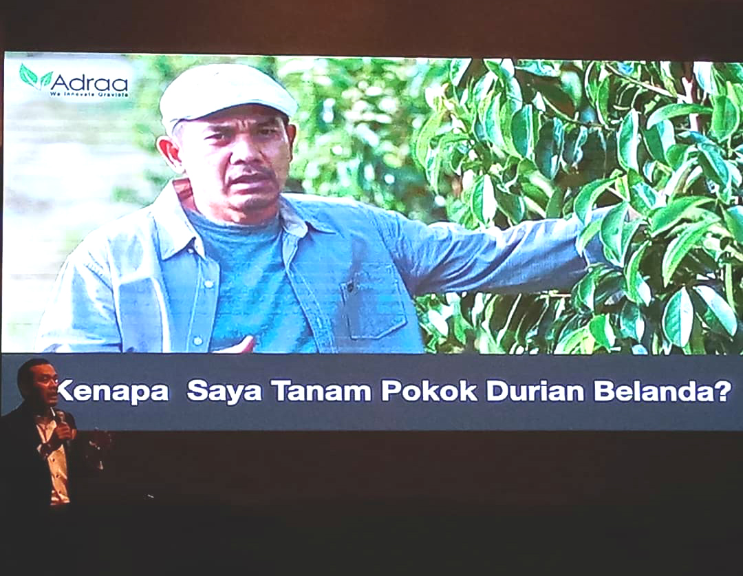 Durian Belanda sangat tinggi antioksidan dan Datuk Rosyam mengambil peluang ini untuk komersil kan