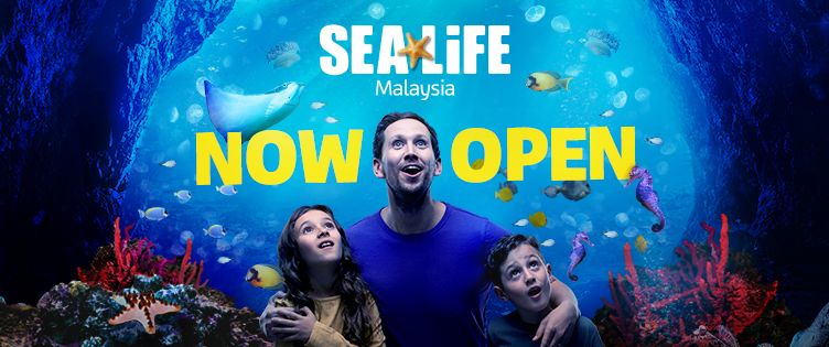 SEA LIFE at LEGOLAND now open
