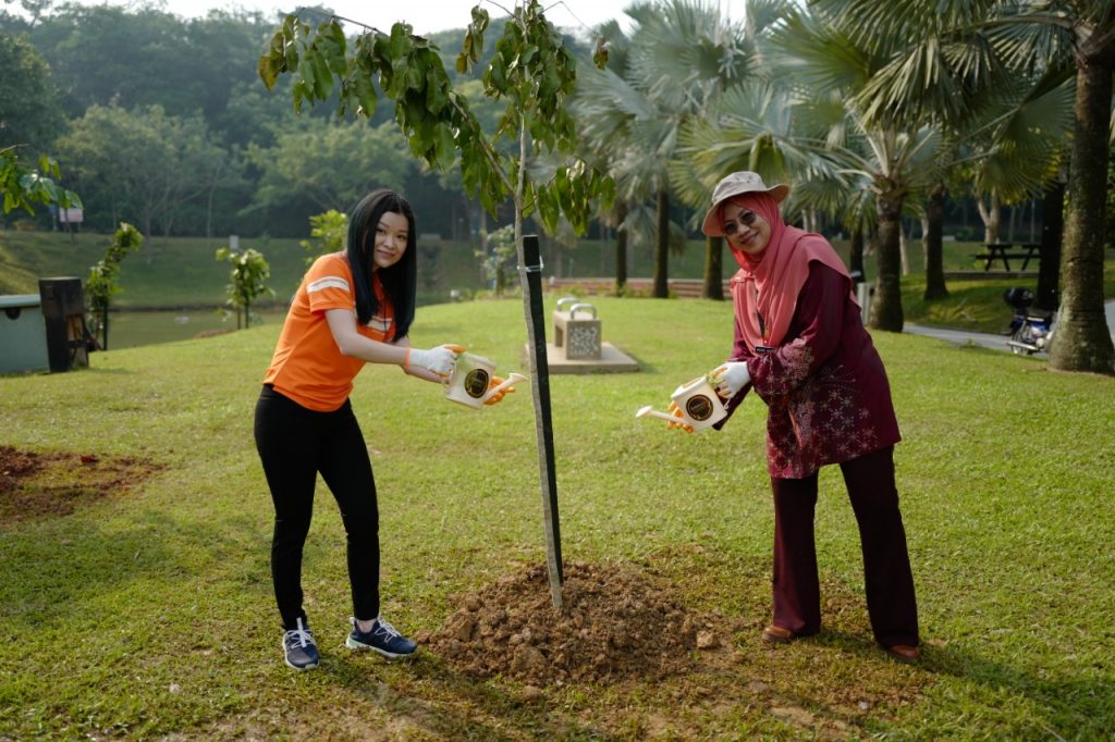 Siram pokok