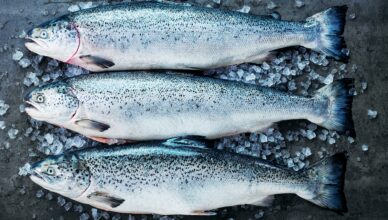 A-Its-been-50-years-since-Norwegian-salmon-was-successfully-farmed-in-Norway