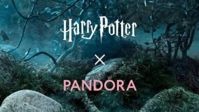 Harry Potter X Pandora