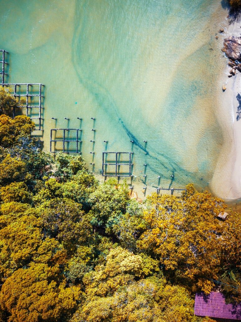 Penang National Park