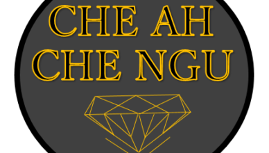 Che Ah Che Ngu logo
